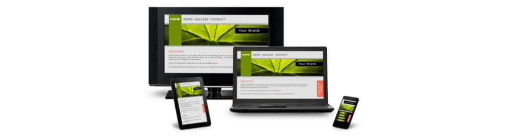 Website design Chilli Media